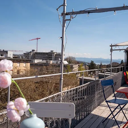 Rose - Kreis 6 * Zürich