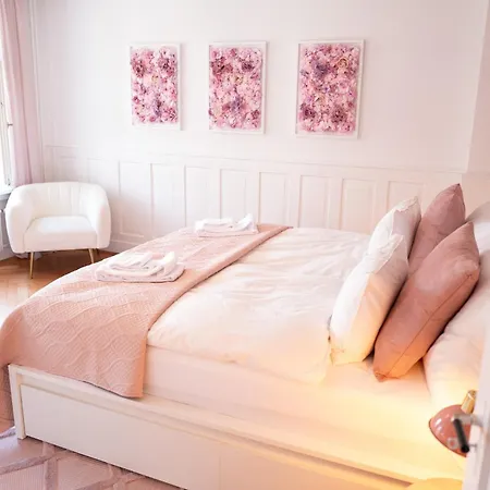 Rose - Kreis 6 * Zürich